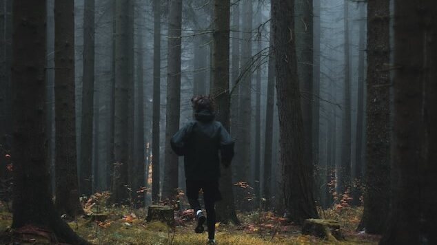 trail running in forests